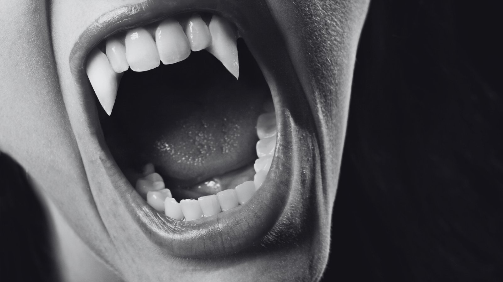How to Kill a Vampire