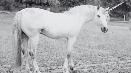 Do Unicorns Have Wings?