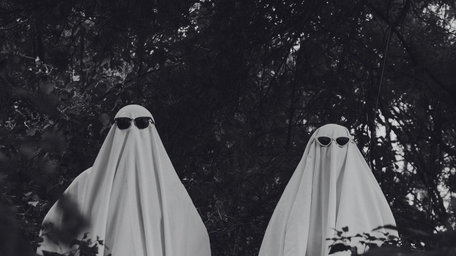 Does Japan Celebrate Halloween? Understanding Japan’s Take on the Spooky Holiday
