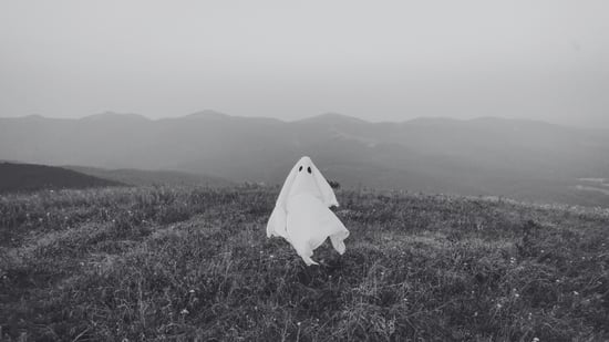What Is the Diet of a Ghost?