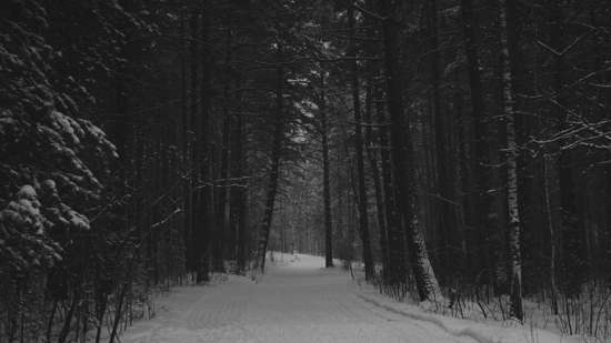 Why Are Small Towns So Popular in Horror Stories?