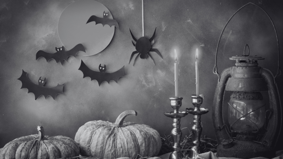 Does Australia Celebrate Halloween? Australian vs American Halloween Traditions