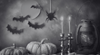 Does Australia Celebrate Halloween? Australian vs American Halloween Traditions
