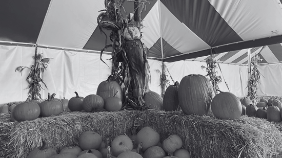 The 10 Best Pumpkin Patches in Los Angeles: Your Ultimate Fall Adventure Guide