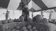The 10 Best Pumpkin Patches in Los Angeles: Your Ultimate Fall Adventure Guide