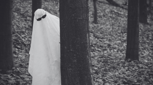 Why Do People Believe in Ghost Hunting: Understanding the Psychology and Appeal