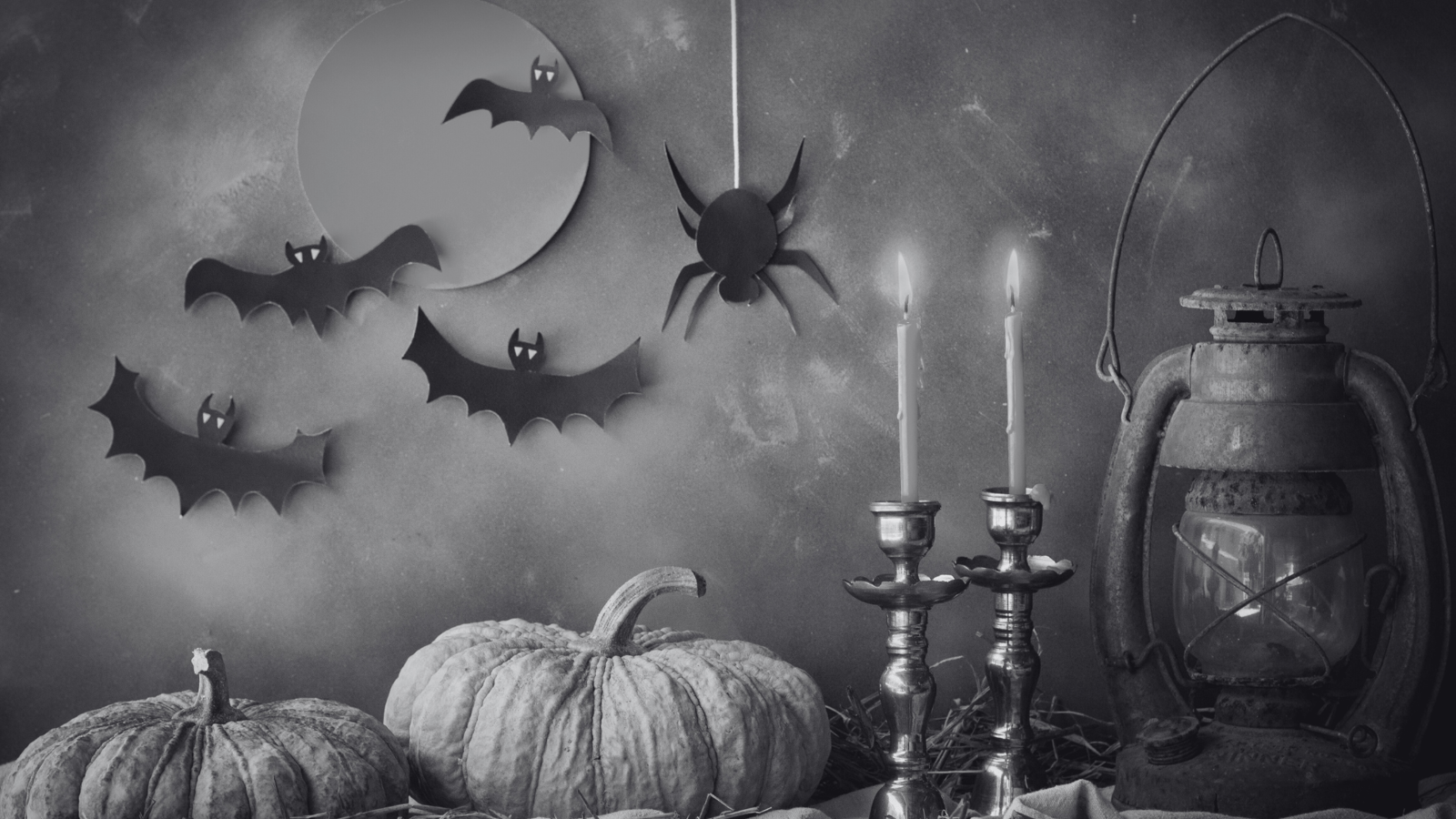 Does Australia Celebrate Halloween? Australian vs American Halloween Traditions