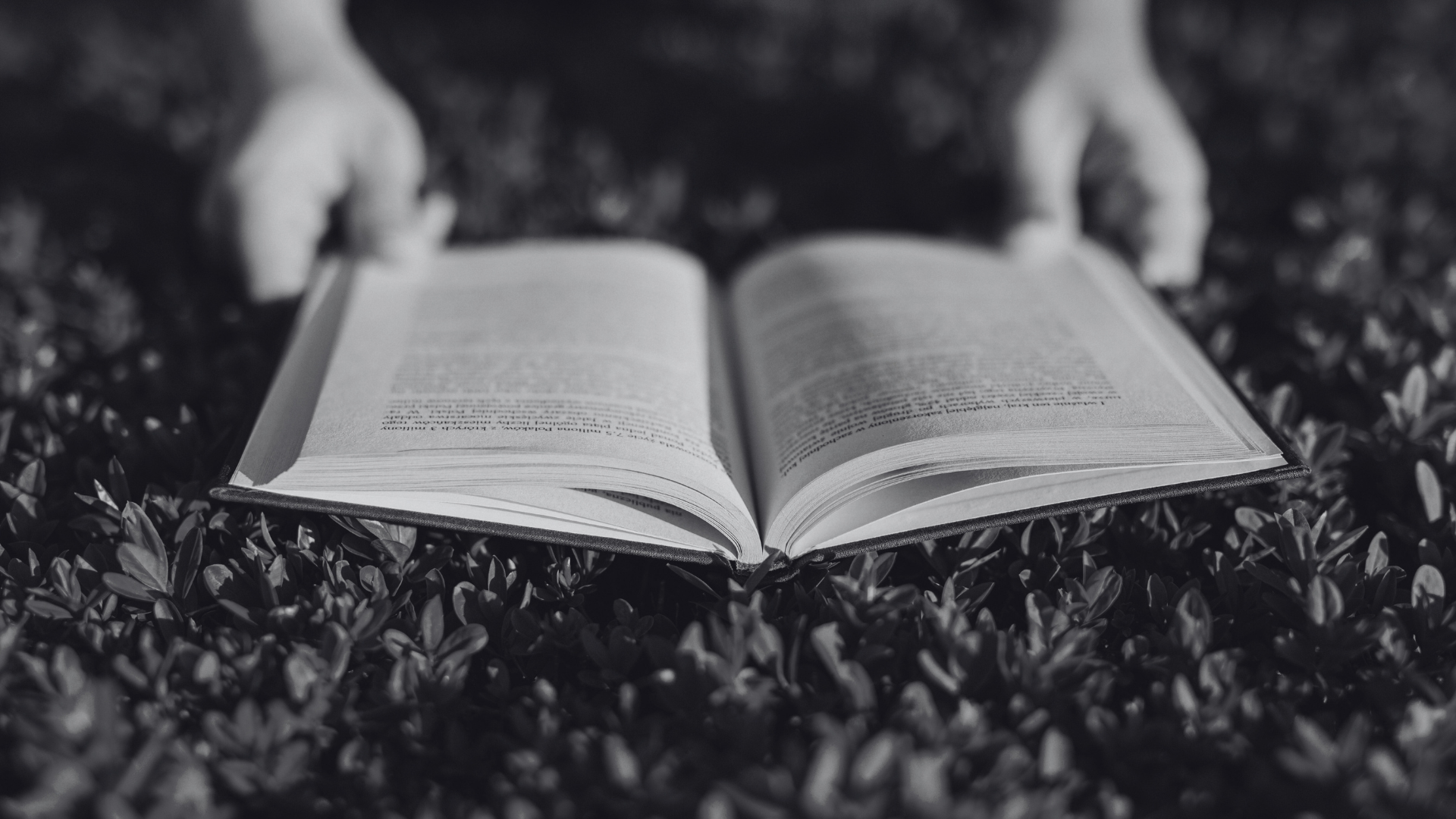 The Ultimate Guide to Horror Books About Witches: 7 Spine-Chilling Must-Reads