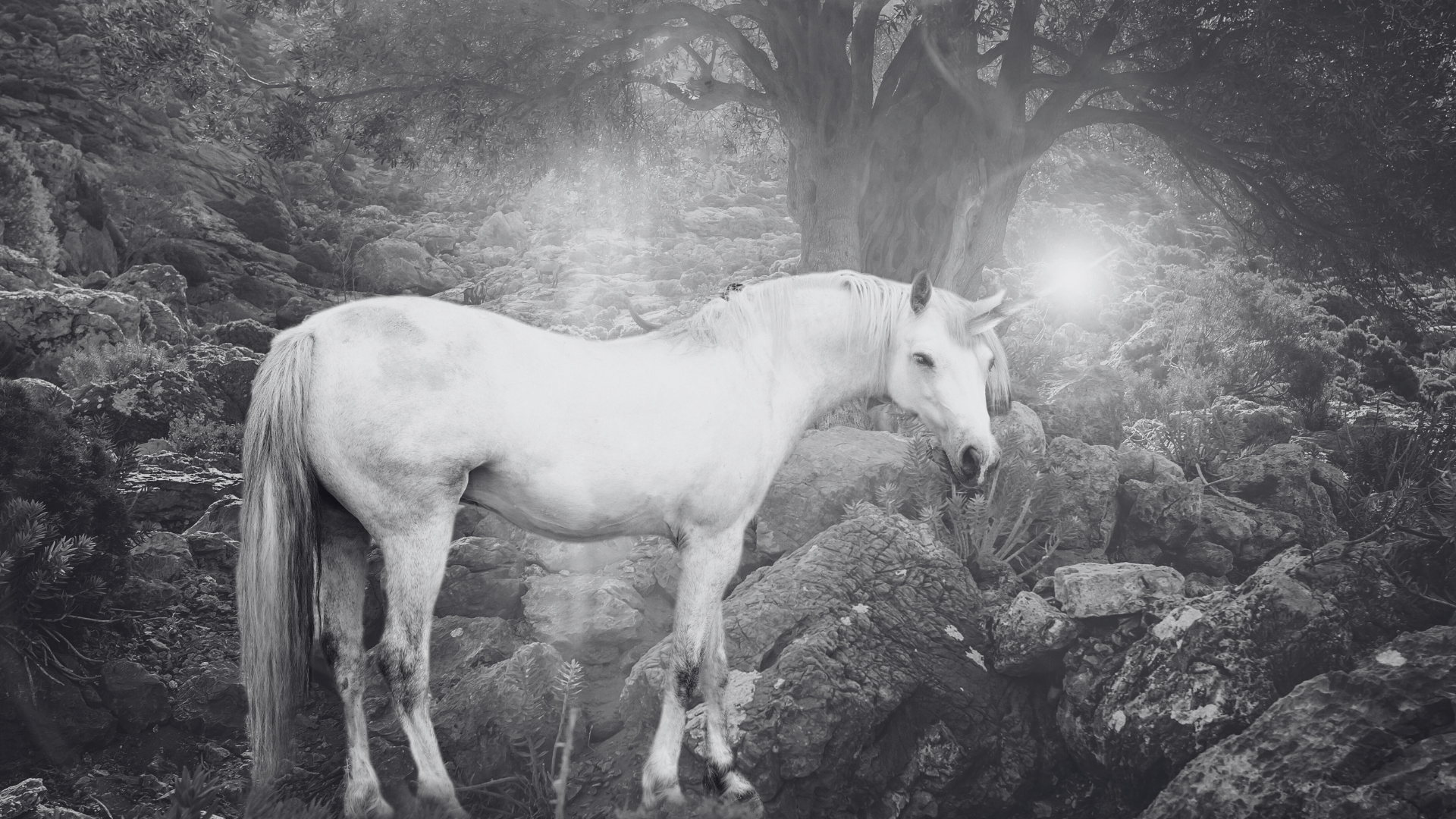 How to Catch a Unicorn?