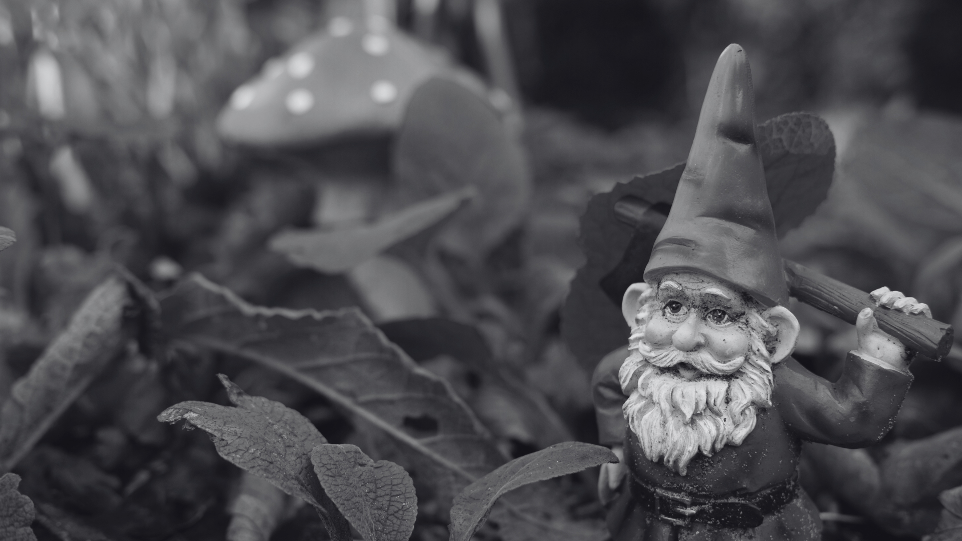 What Do Gnomes Represent?